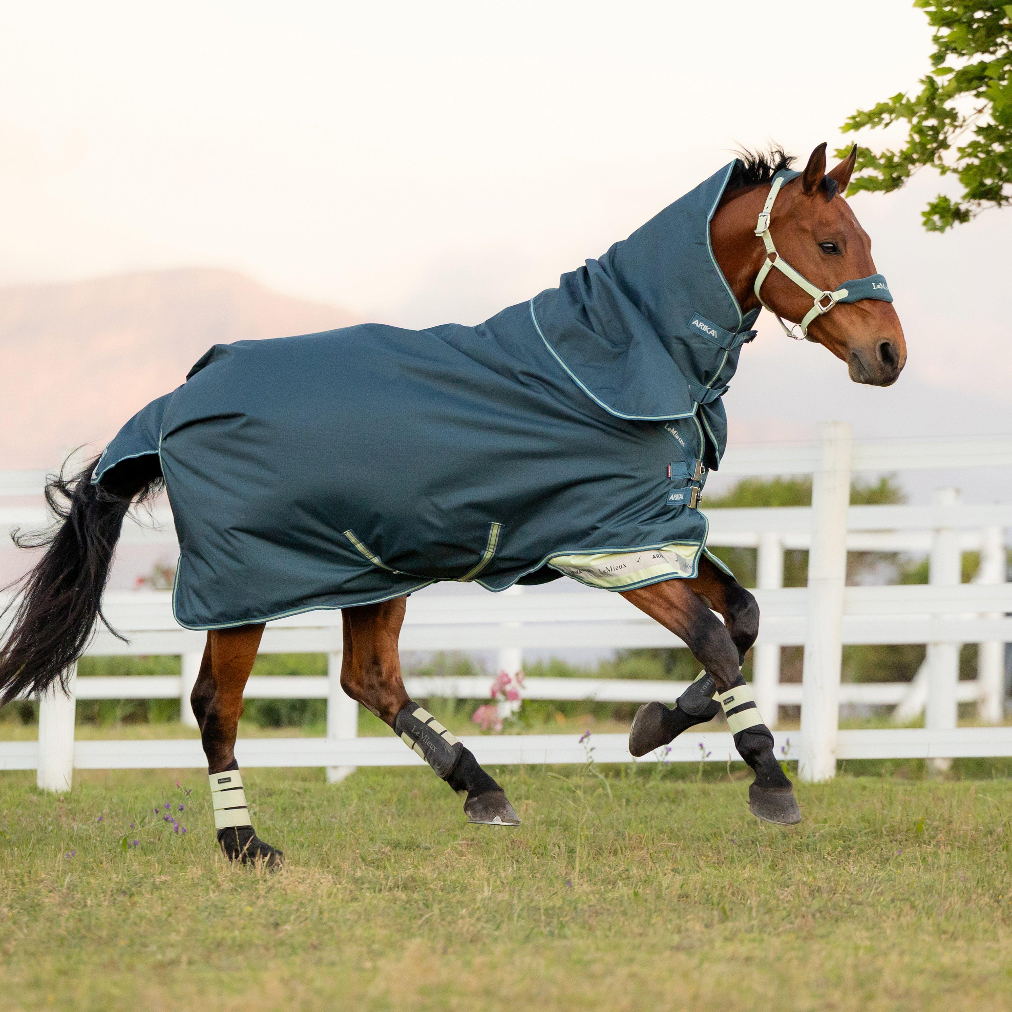 Arika Ripstop 50g Turnout Rug Jungle