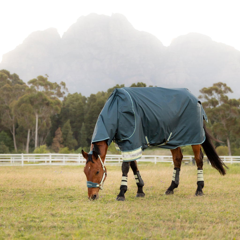Arika Ripstop 50g Turnout Rug Jungle