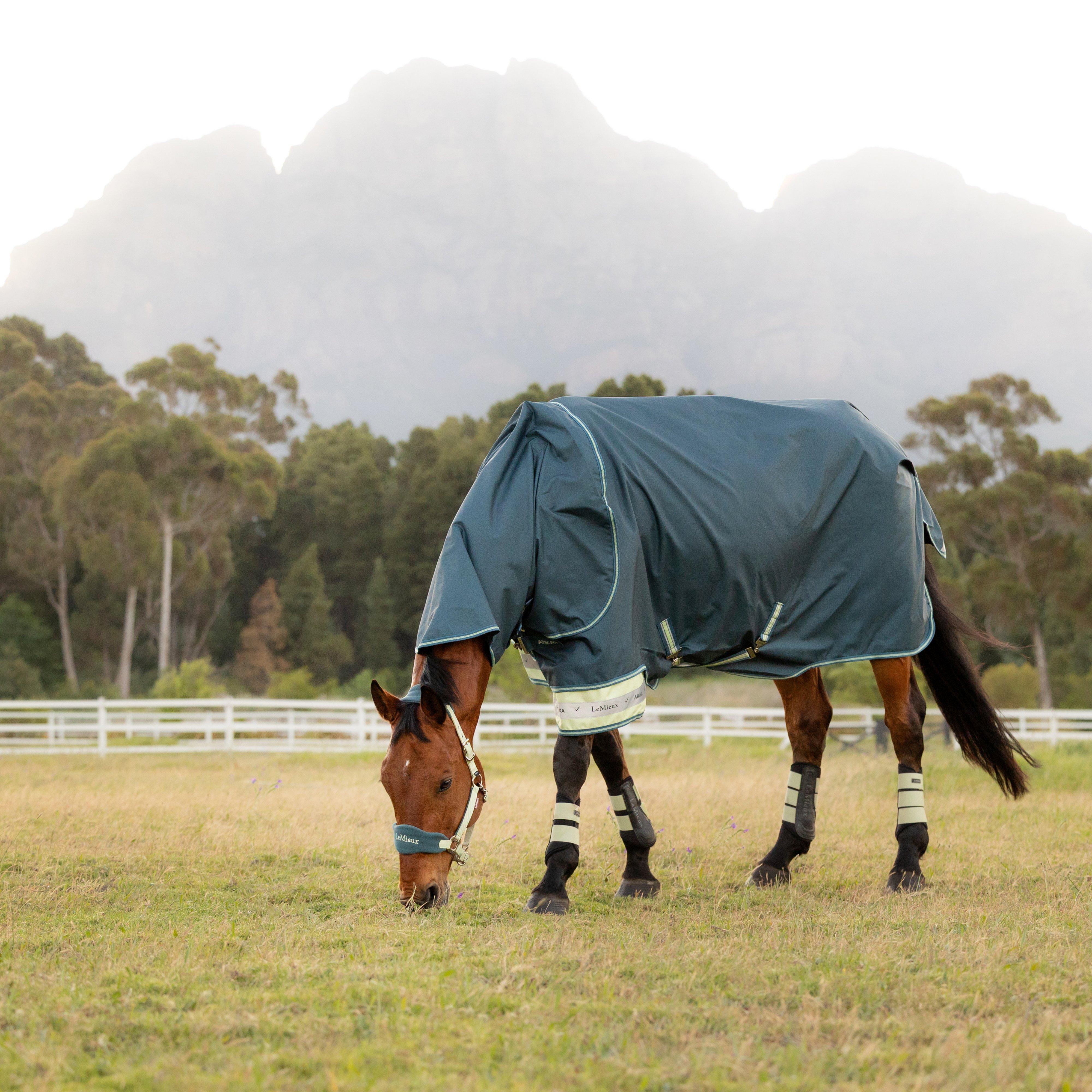 Arika Ripstop 50g Turnout Rug Jungle