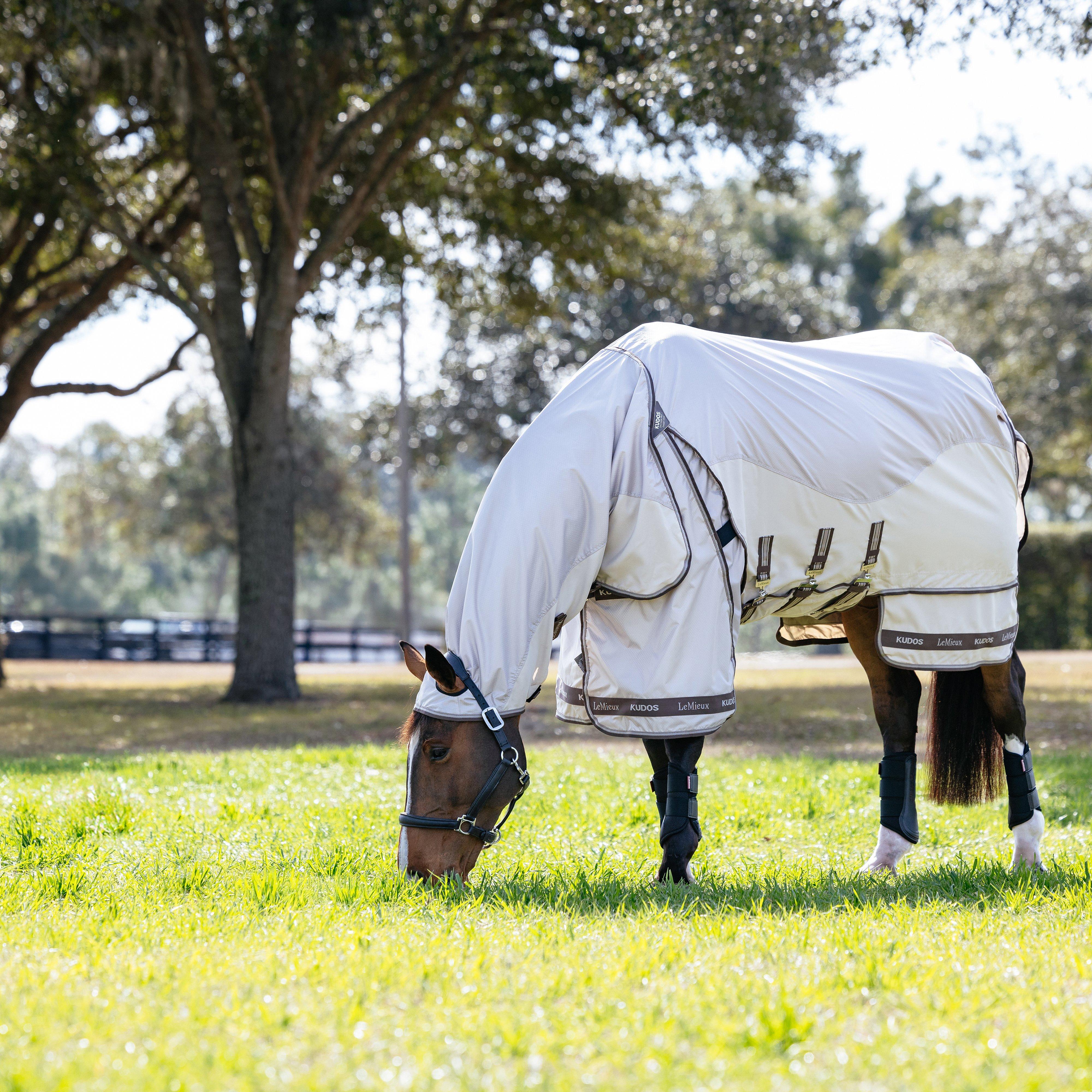Kudos Shower Pro Sweet Itch Rug