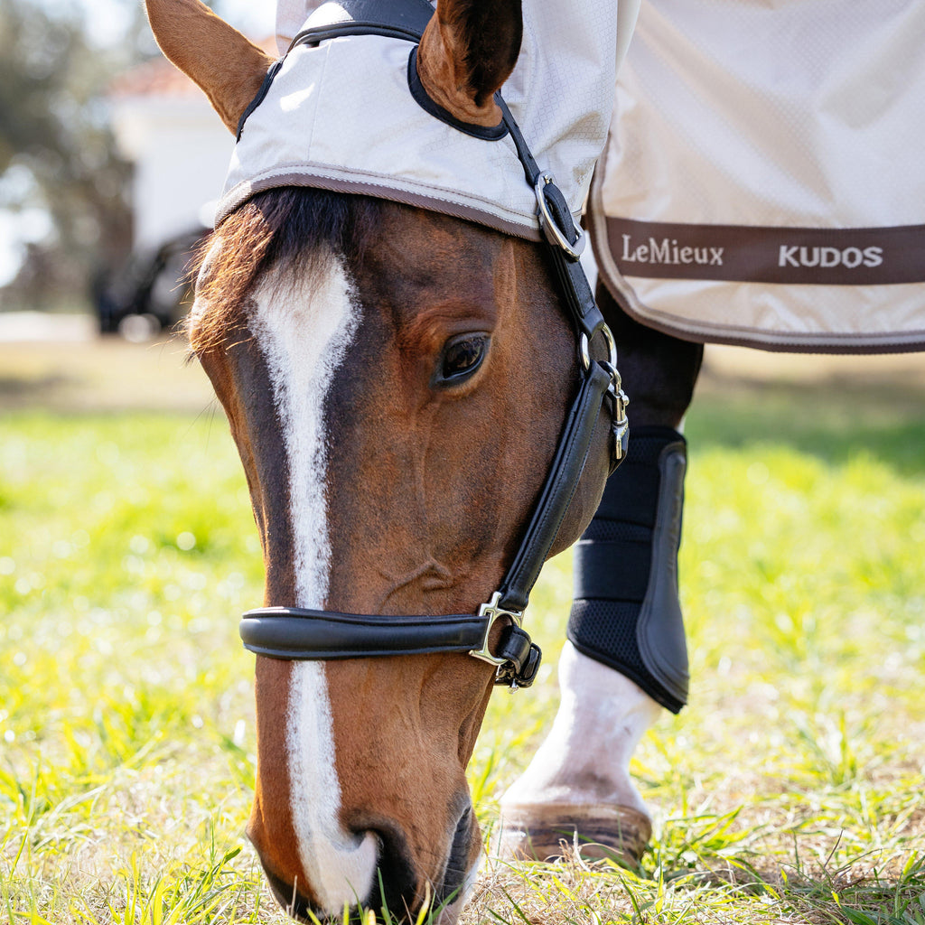 Kudos Shower Pro Sweet Itch Rug