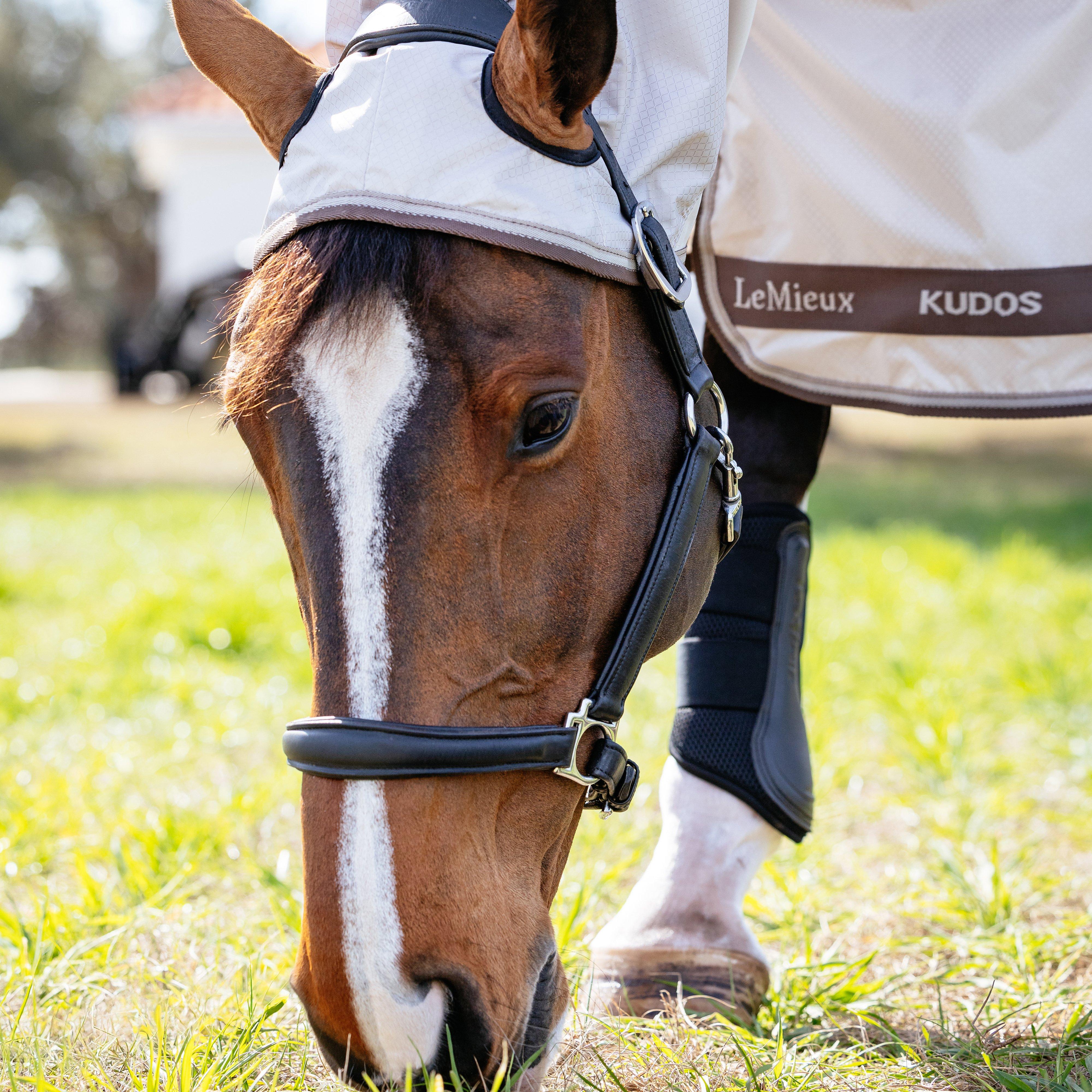 Kudos Shower Pro Sweet Itch Rug