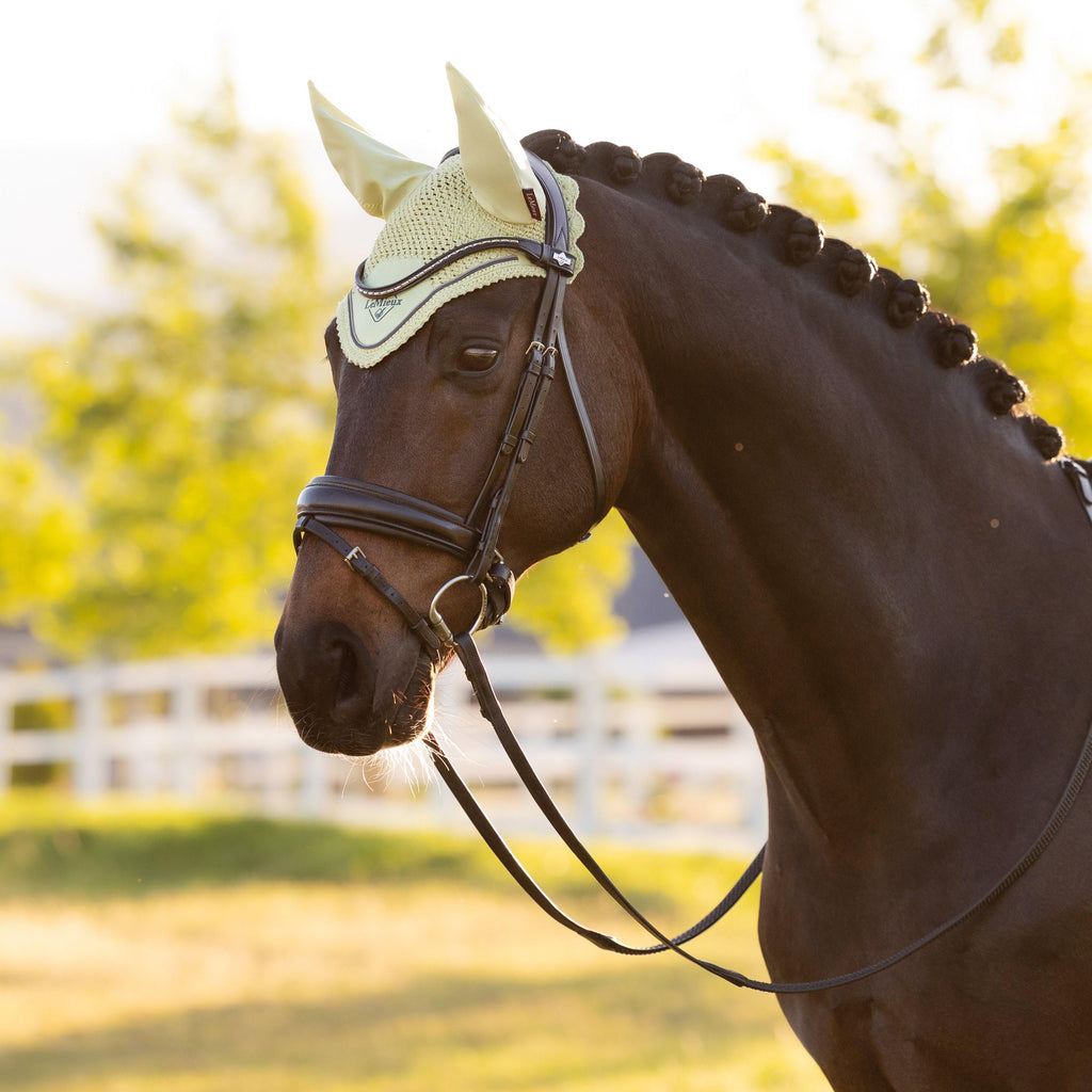 Classic Fly Hood Macaron