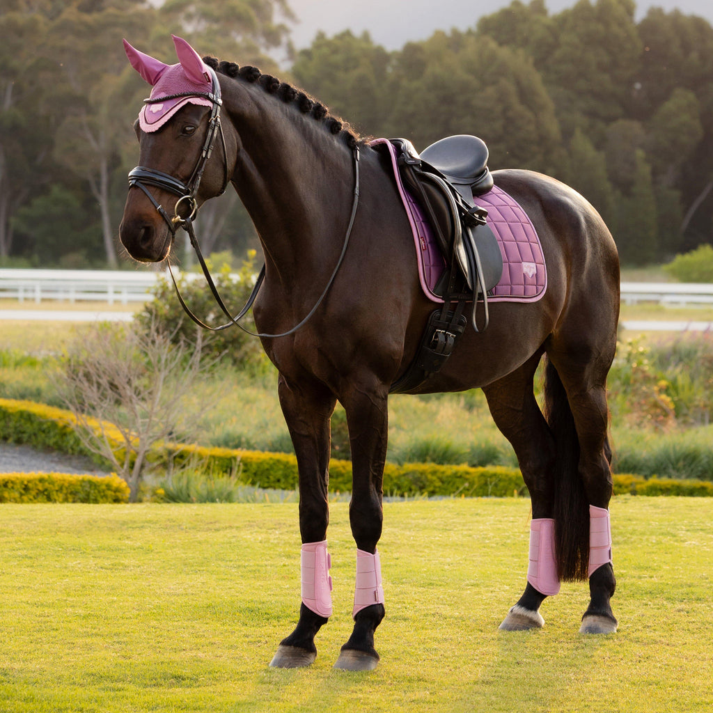 Loire Dressage Saddle Pad Mallow