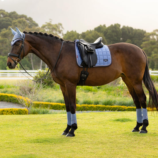 Loire Dressage Saddle Pad Powder Blue
