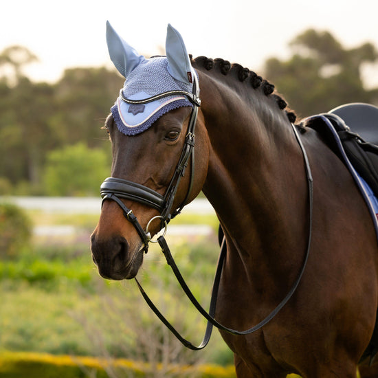 Loire Fly Hood Powder Blue