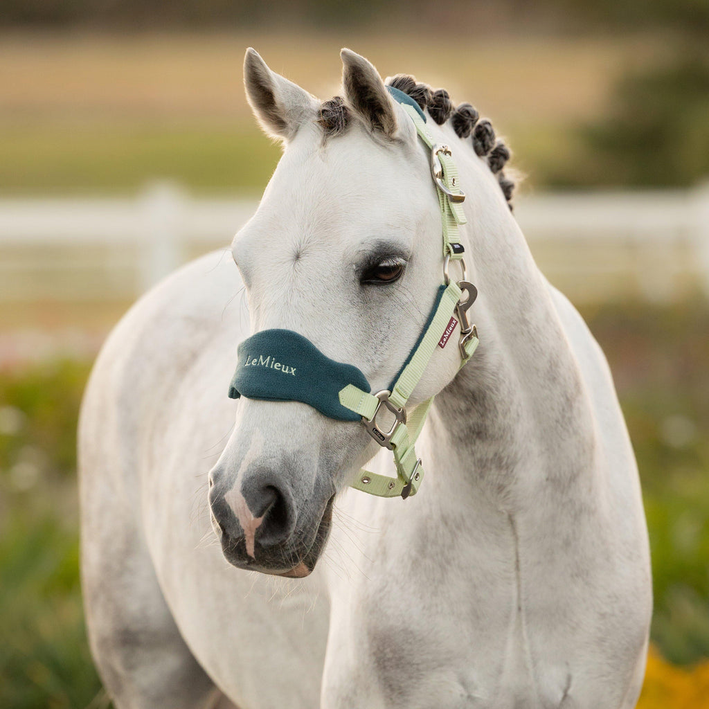 Mini Vogue Headcollar and Leadrope Macaron