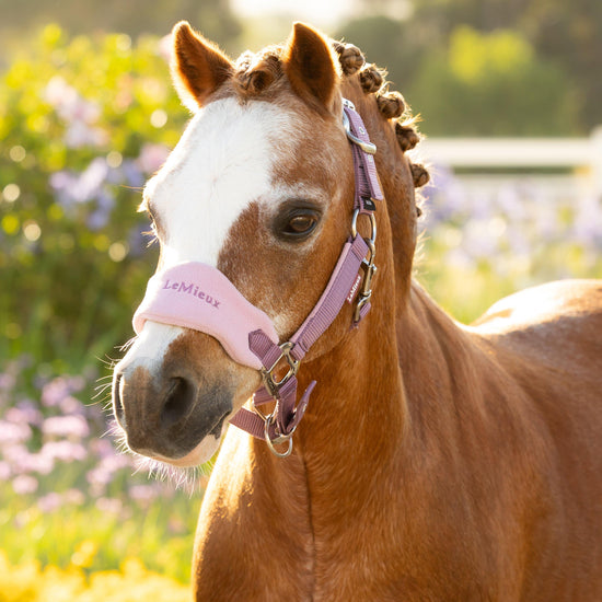 Mini Vogue Headcollar and Leadrope Mallow