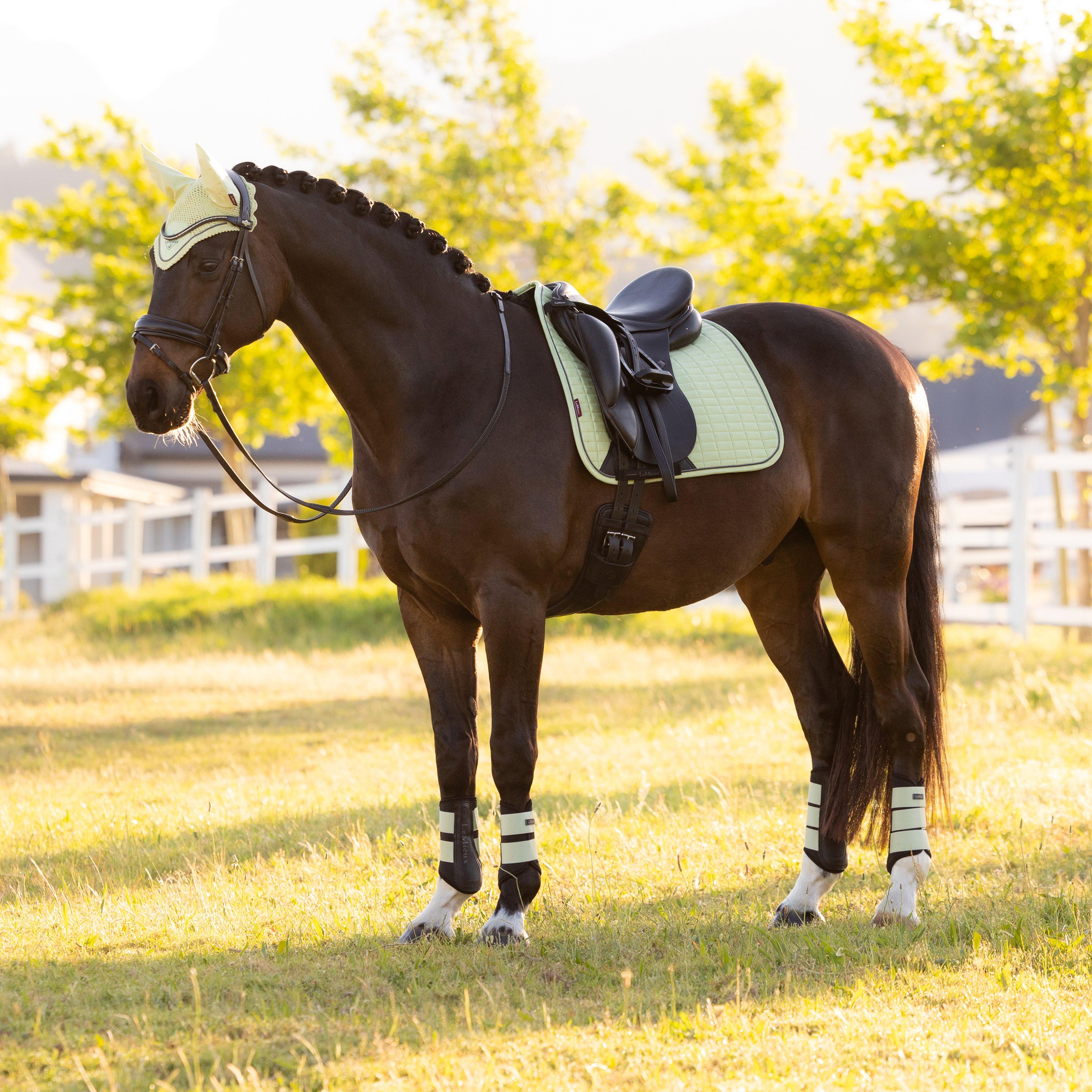 Suede Dressage Saddle Pad Macaron