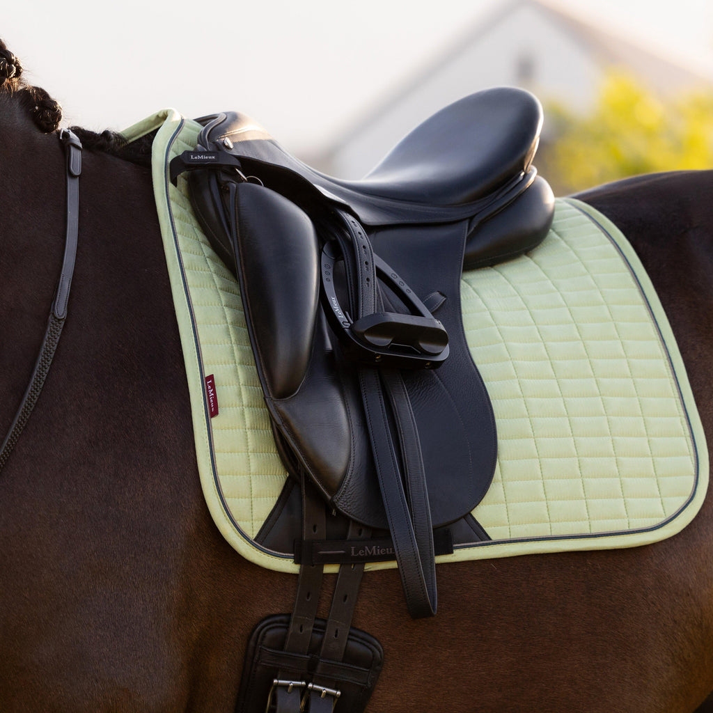Suede Dressage Saddle Pad Macaron
