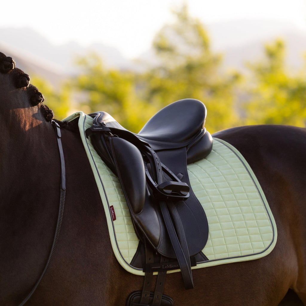 Suede Dressage Saddle Pad Macaron