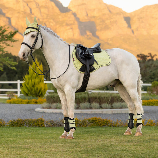 Suede GP Saddle Pad Macaron