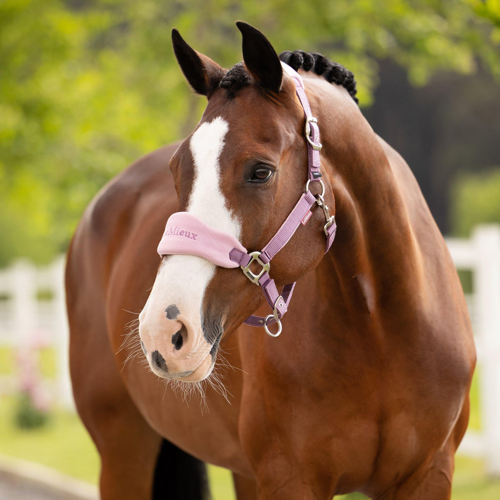 Vogue Headcollar & Leadrope Mallow