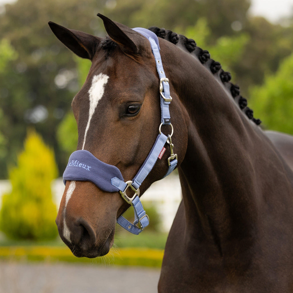 Vogue Headcollar & Leadrope Powder Blue