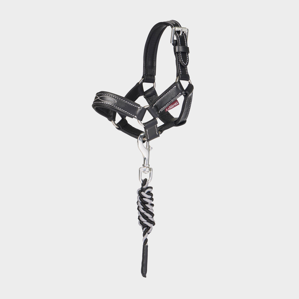 Toy Pony Headcollar Black Leather