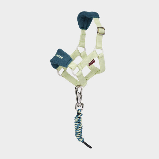 Toy Pony Vogue Headcollar & Leadrope Macaron