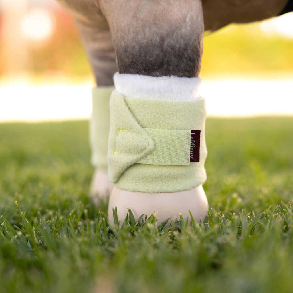 Toy Pony Bandages Macaron