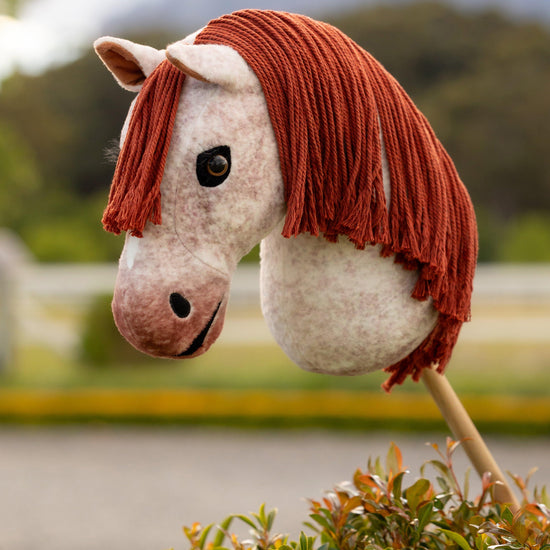 Hobby Horse Poppy