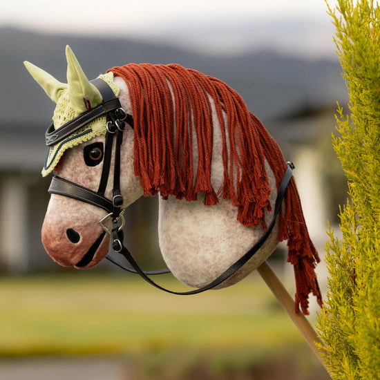 Hobby Horse Fly Hood Macaron