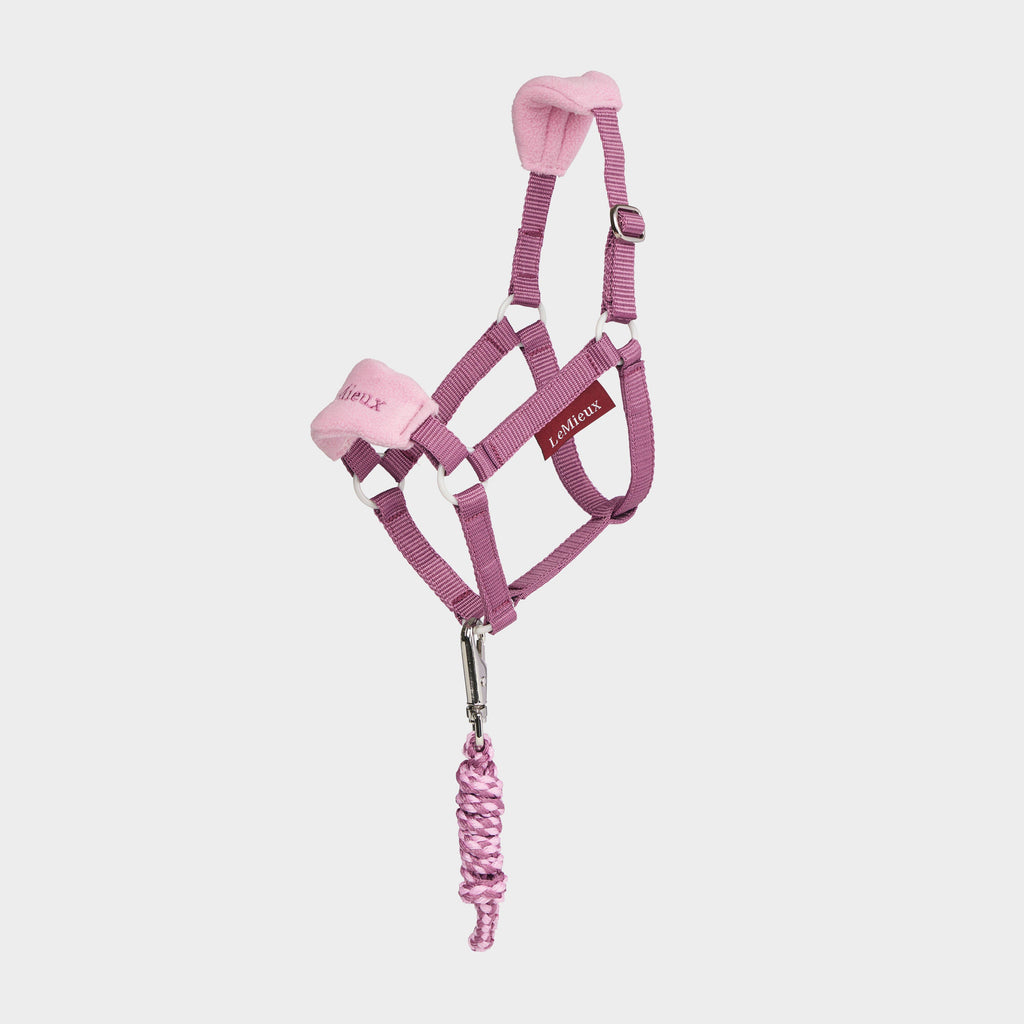 Hobby Horse Vogue Headcollar & Leadrope Mallow