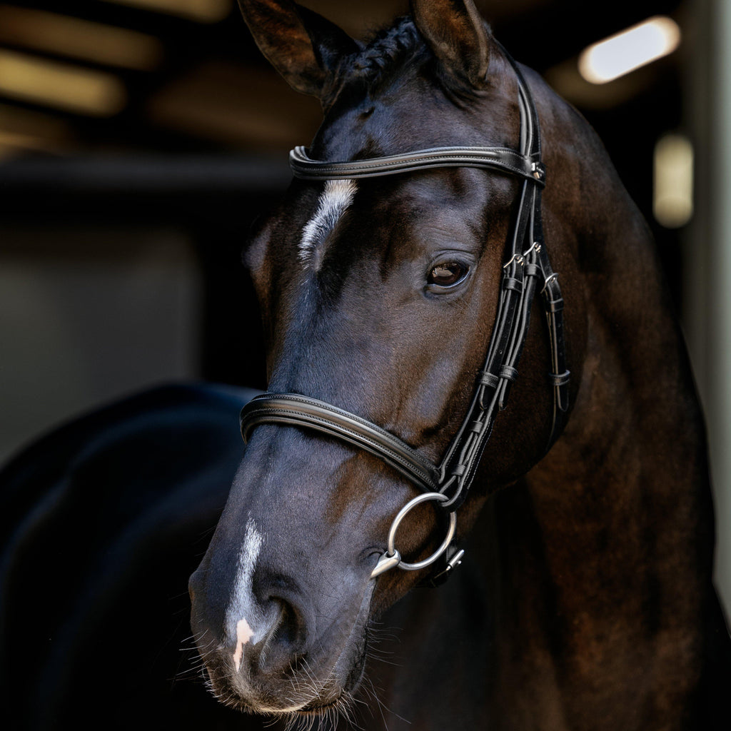Arika Anatomic Cavesson Bridle