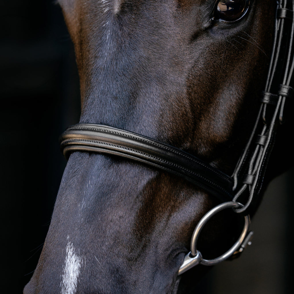 Arika Anatomic Cavesson Bridle