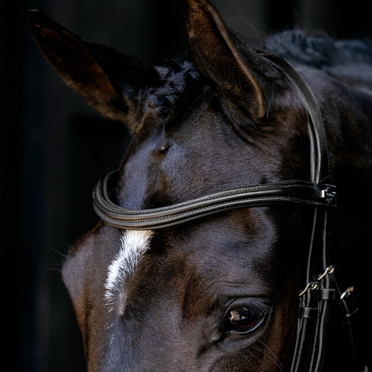 Arika Anatomic Cavesson Bridle