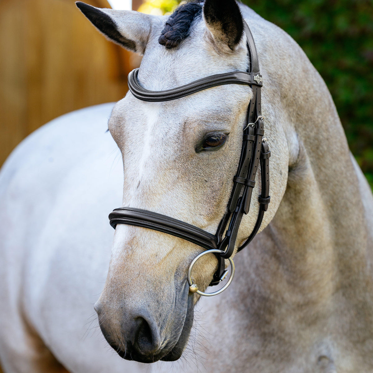 Arika Anatomic Cavesson Bridle