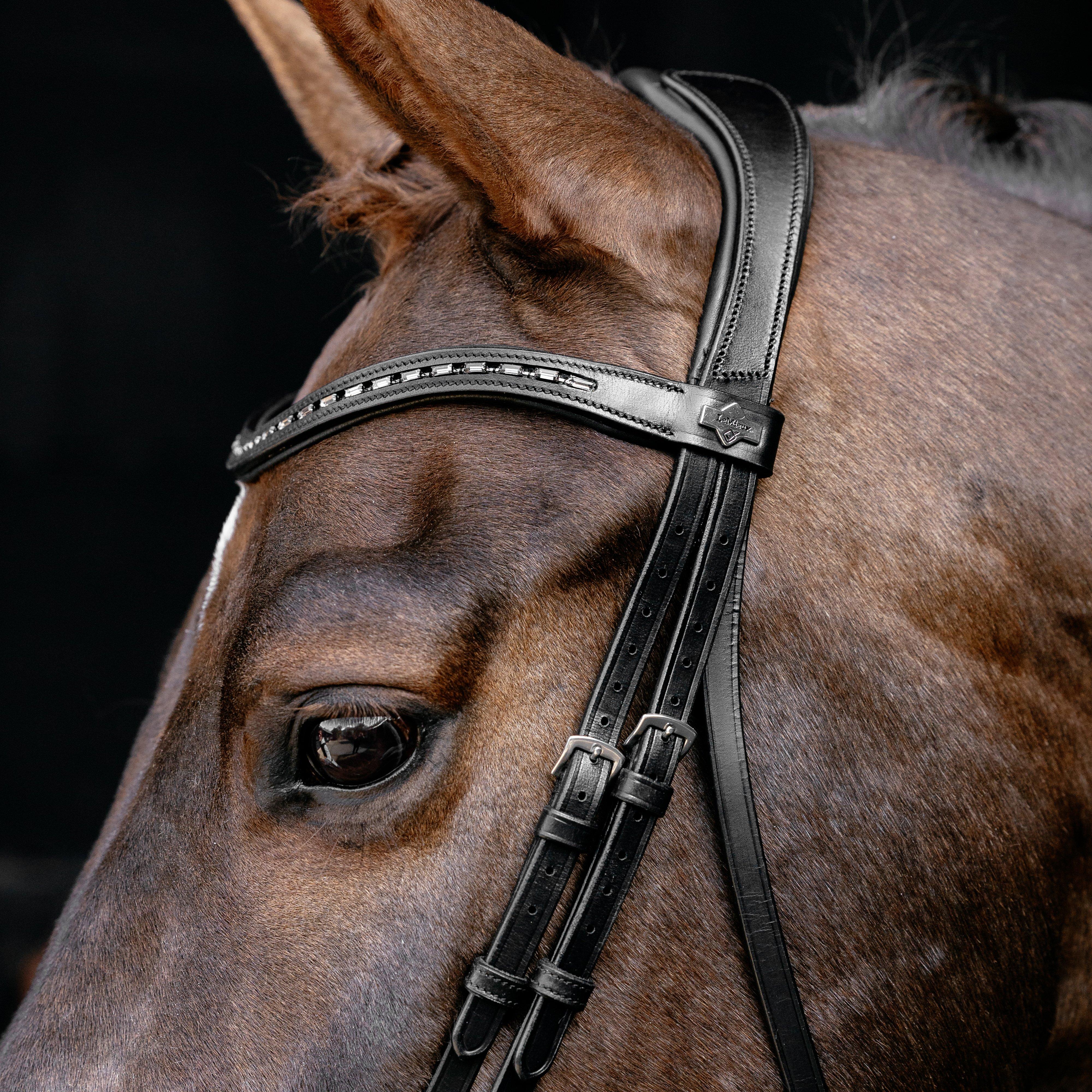 Arika Anatomic Dressage Bridle
