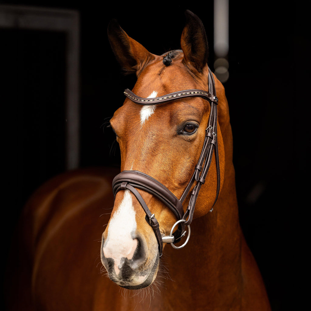 Arika Anatomic Dressage Bridle