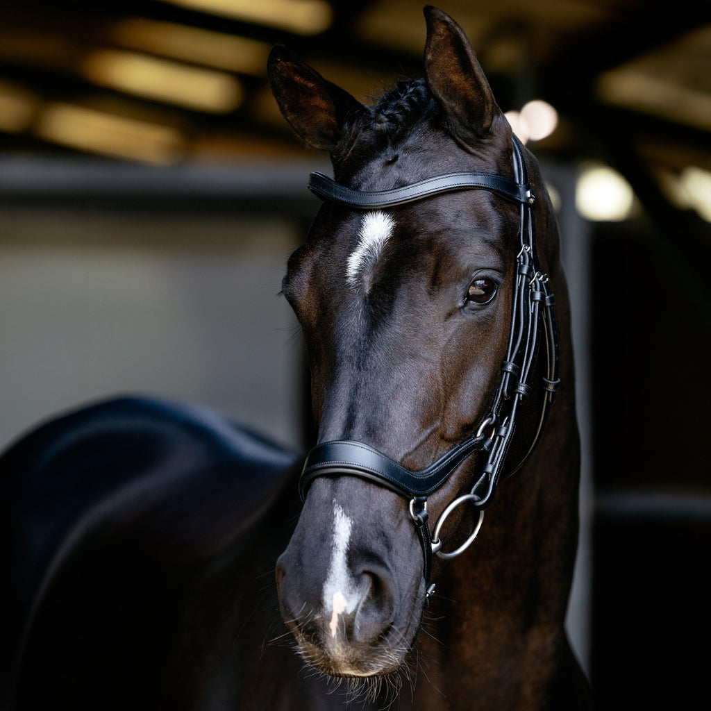 Arika Anatomic Drop Bridle