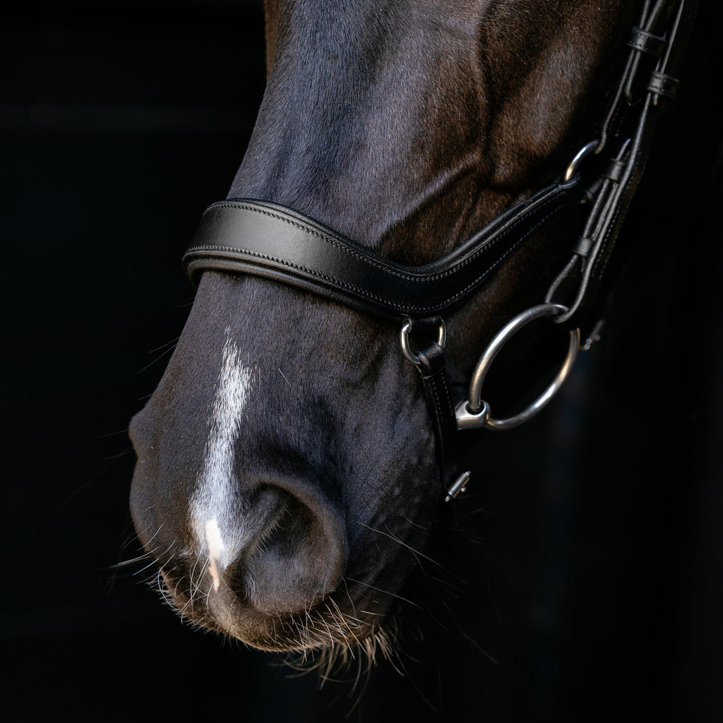 Arika Anatomic Drop Bridle