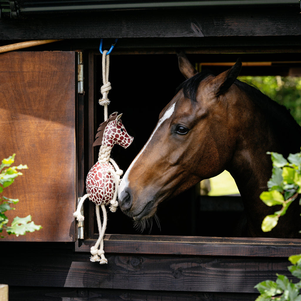 Horse Toy Giraffe