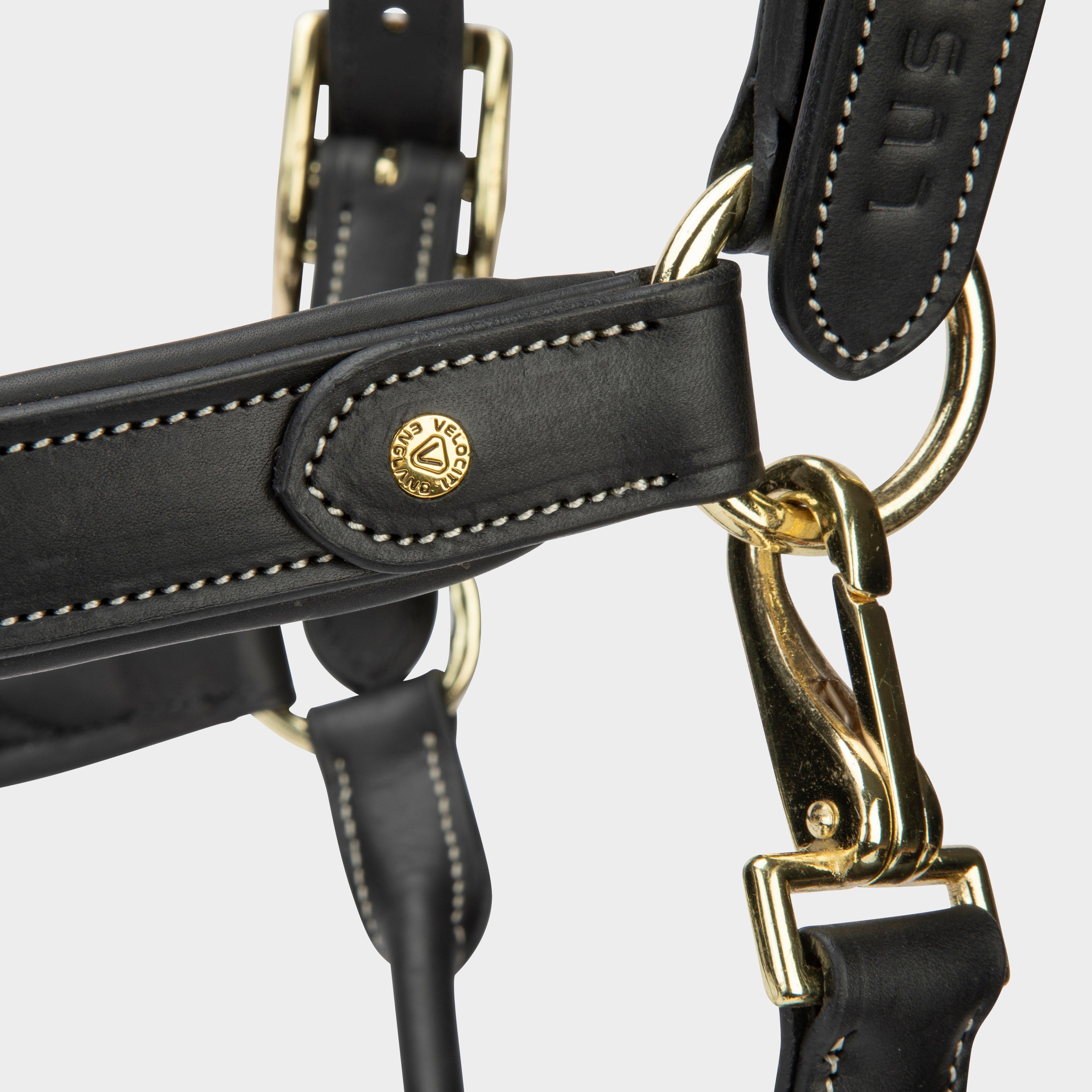 Lusso Lorca Leather Headcollar Black