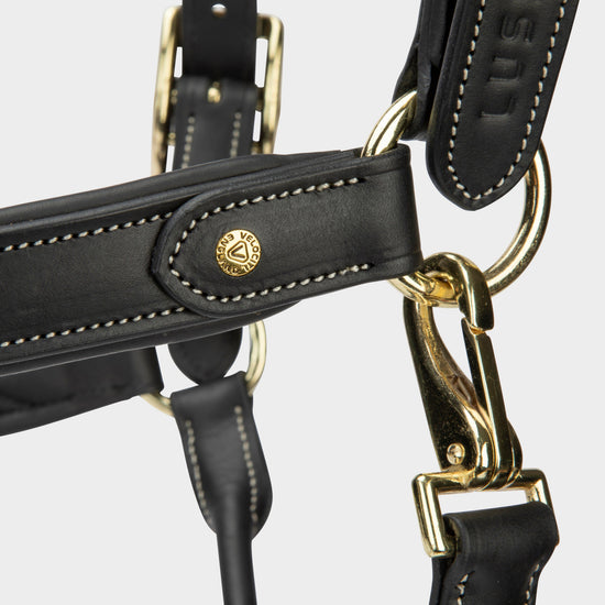 Lusso Lorca Leather Headcollar Black