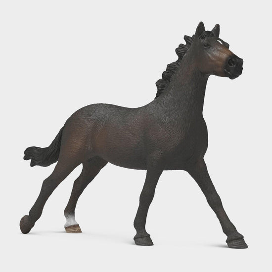 English Thoroughbreds