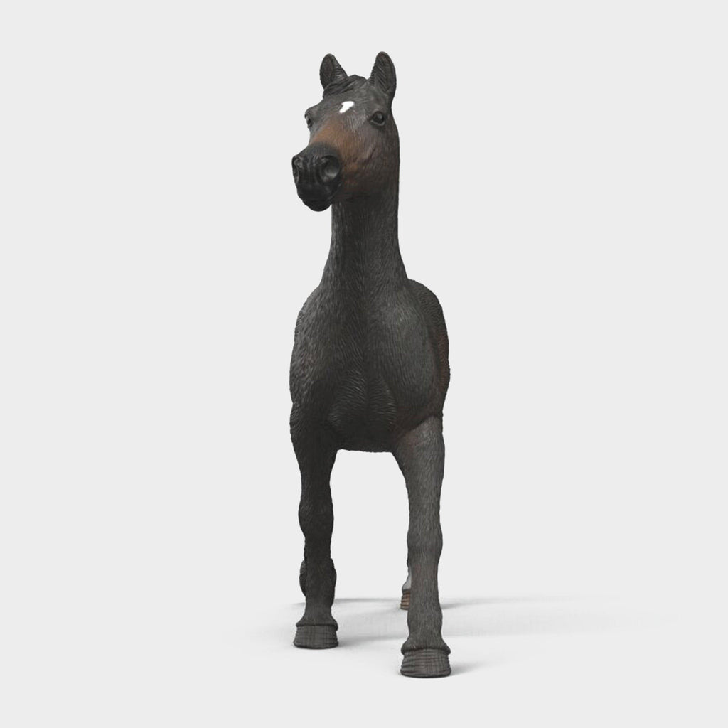 English Thoroughbreds