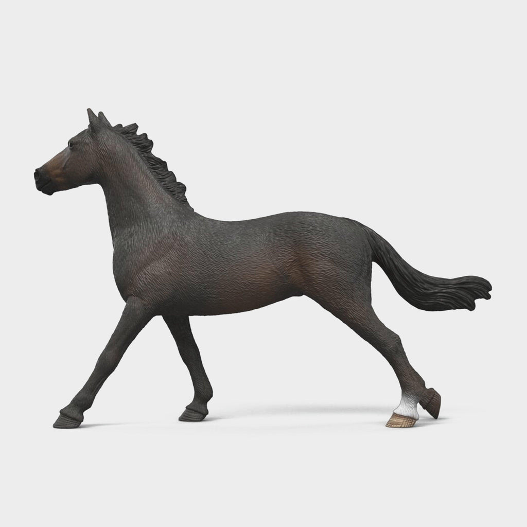 English Thoroughbreds