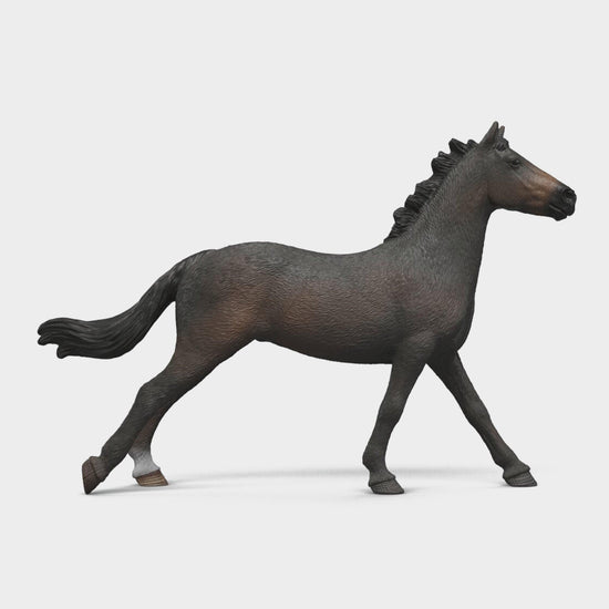 English Thoroughbreds