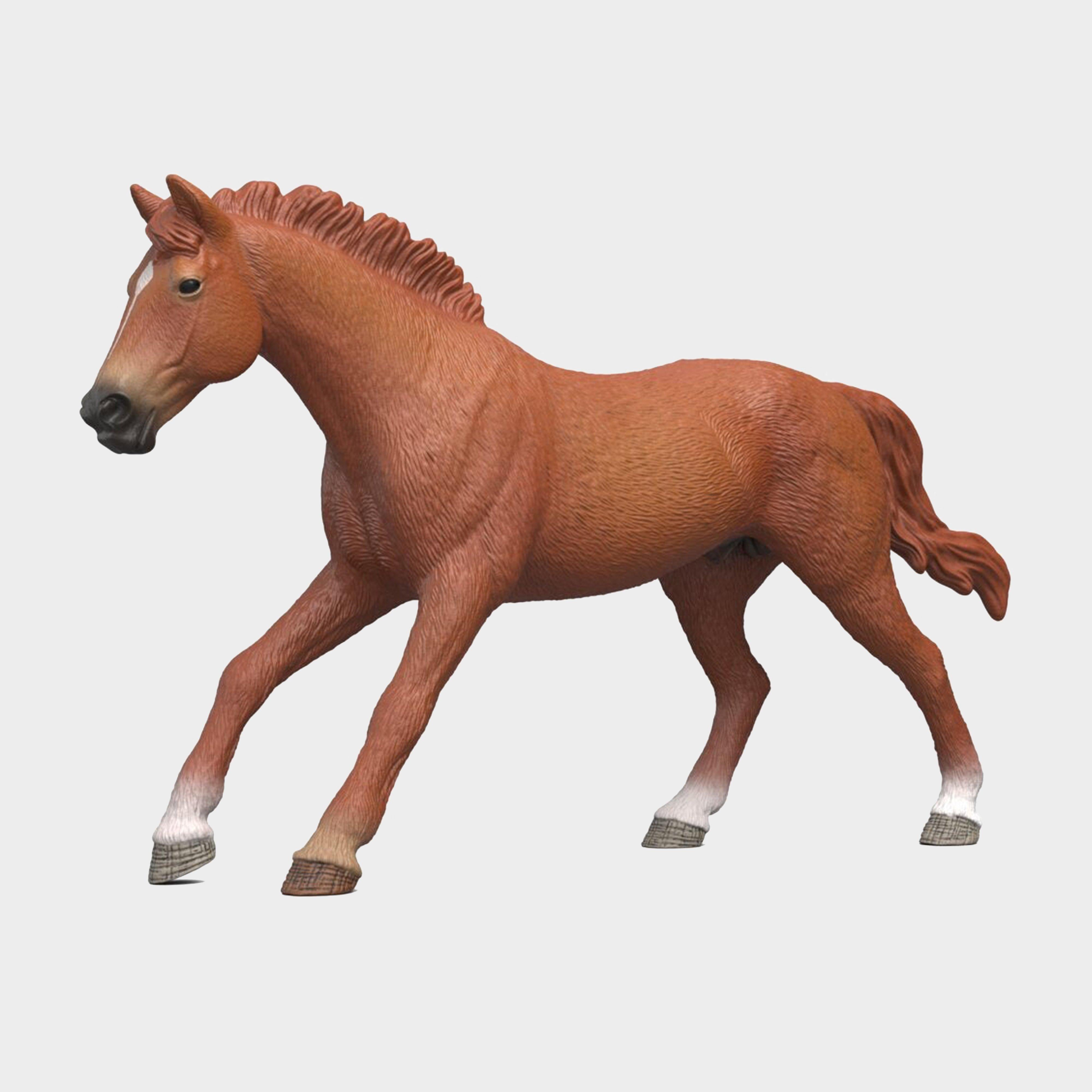 English Thoroughbred Stallion