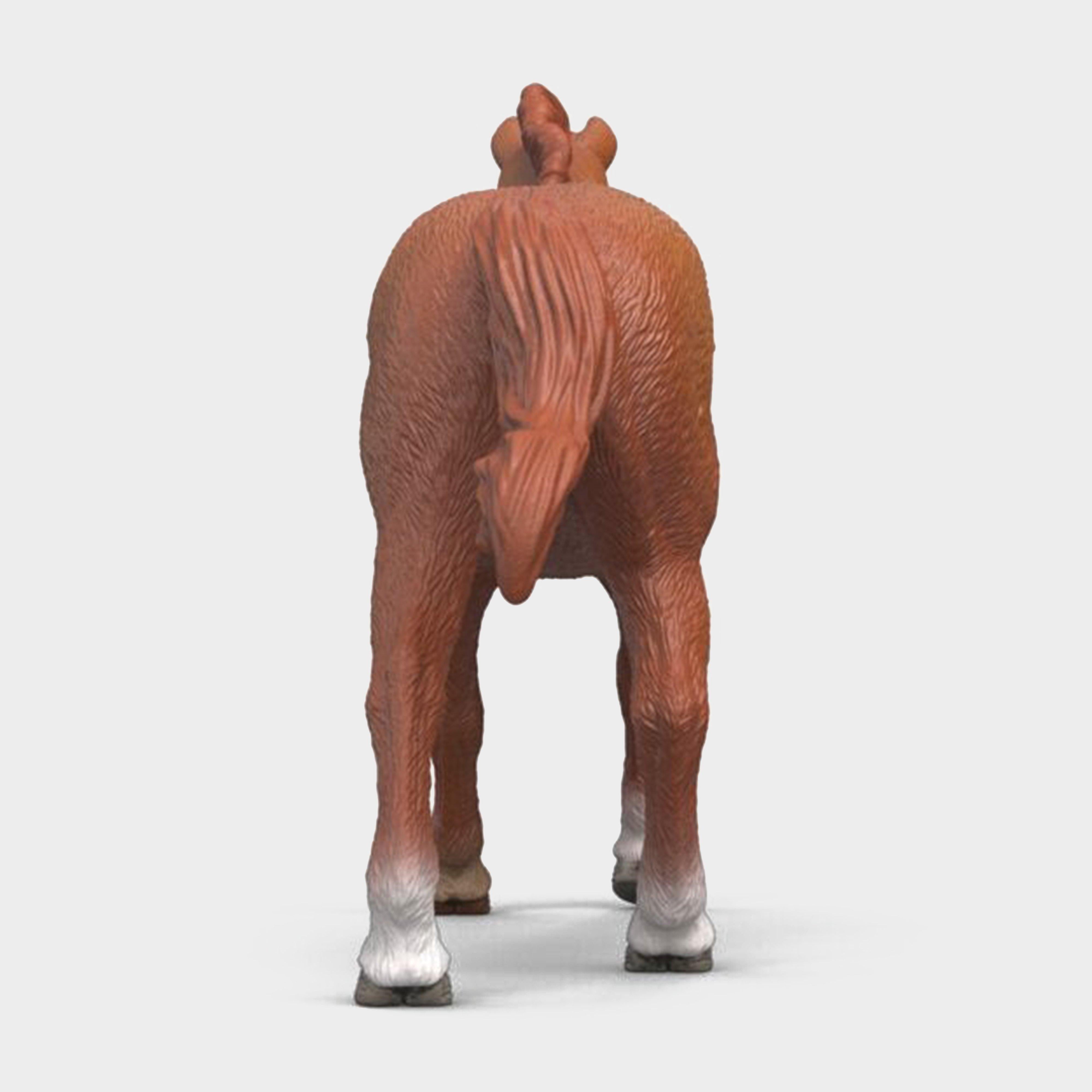 English Thoroughbred Stallion