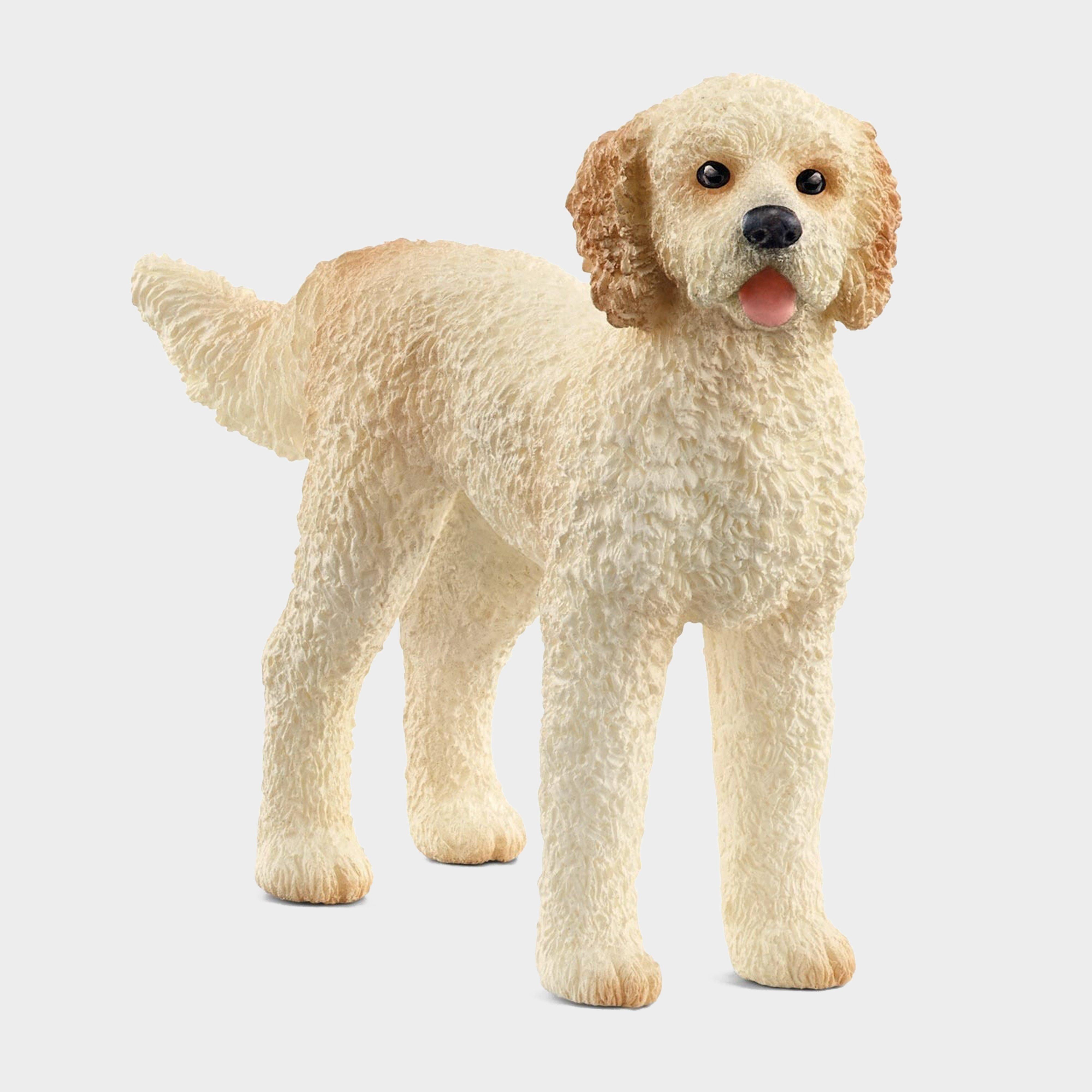 Goldendoodle
