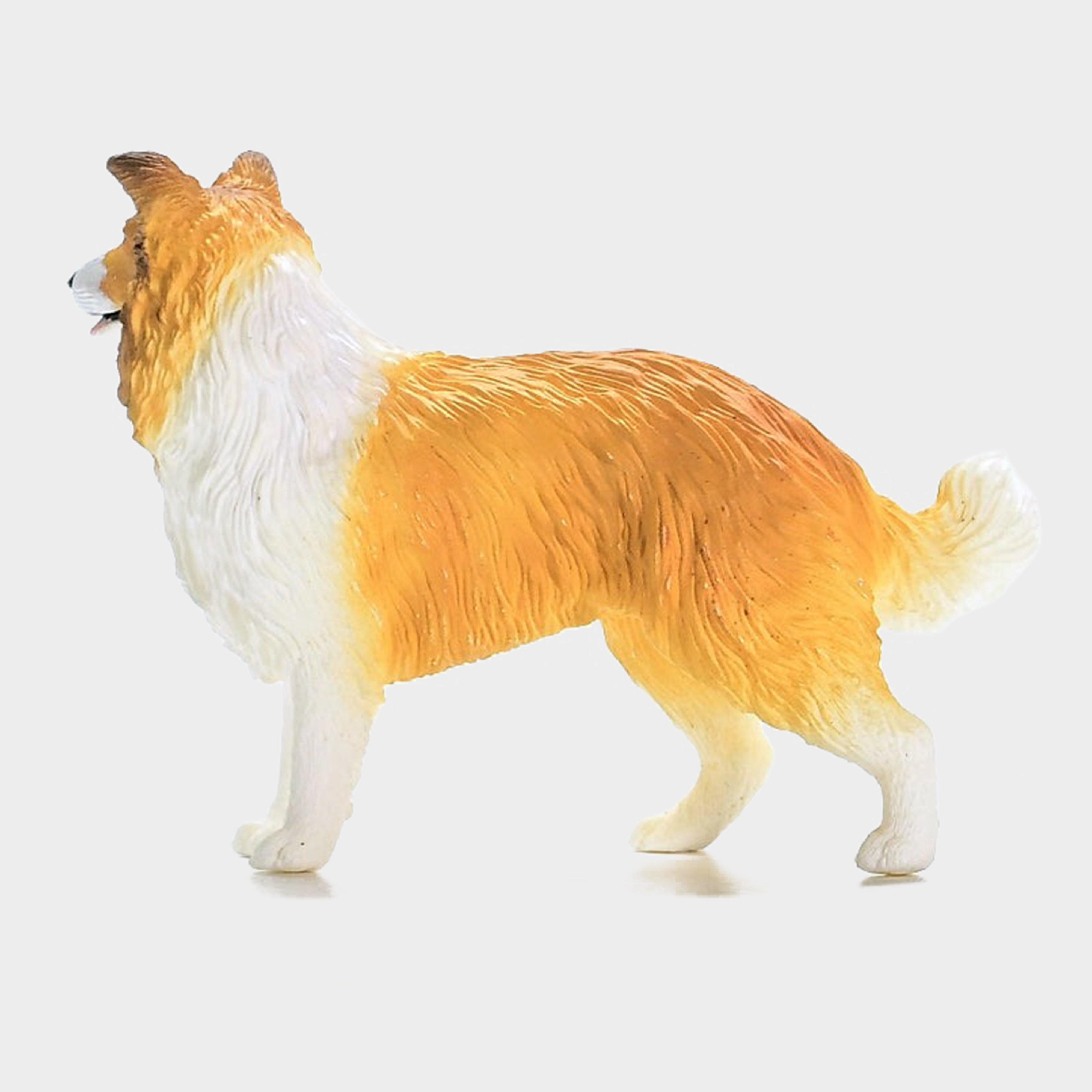 Collie Dog