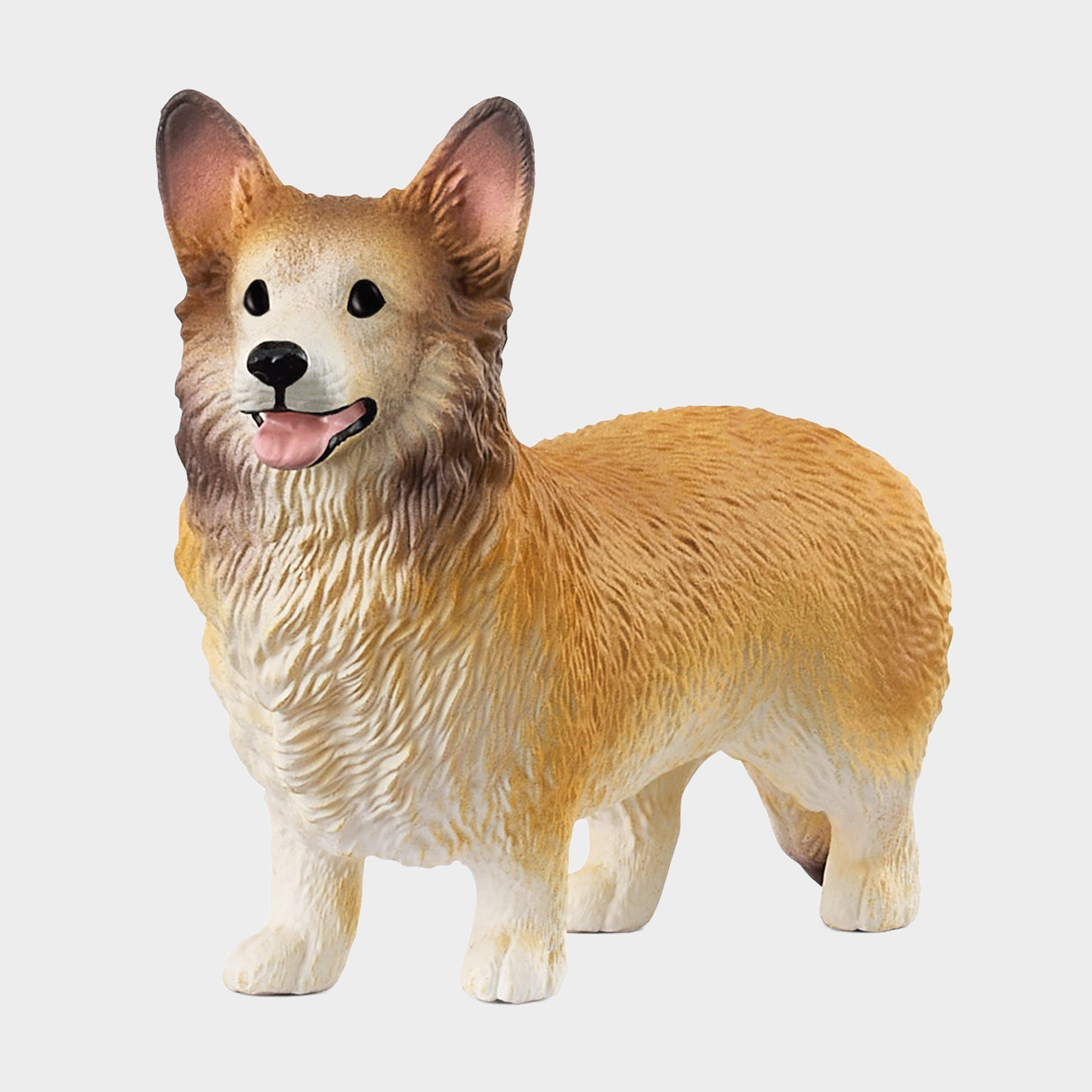 Welsh Corgi