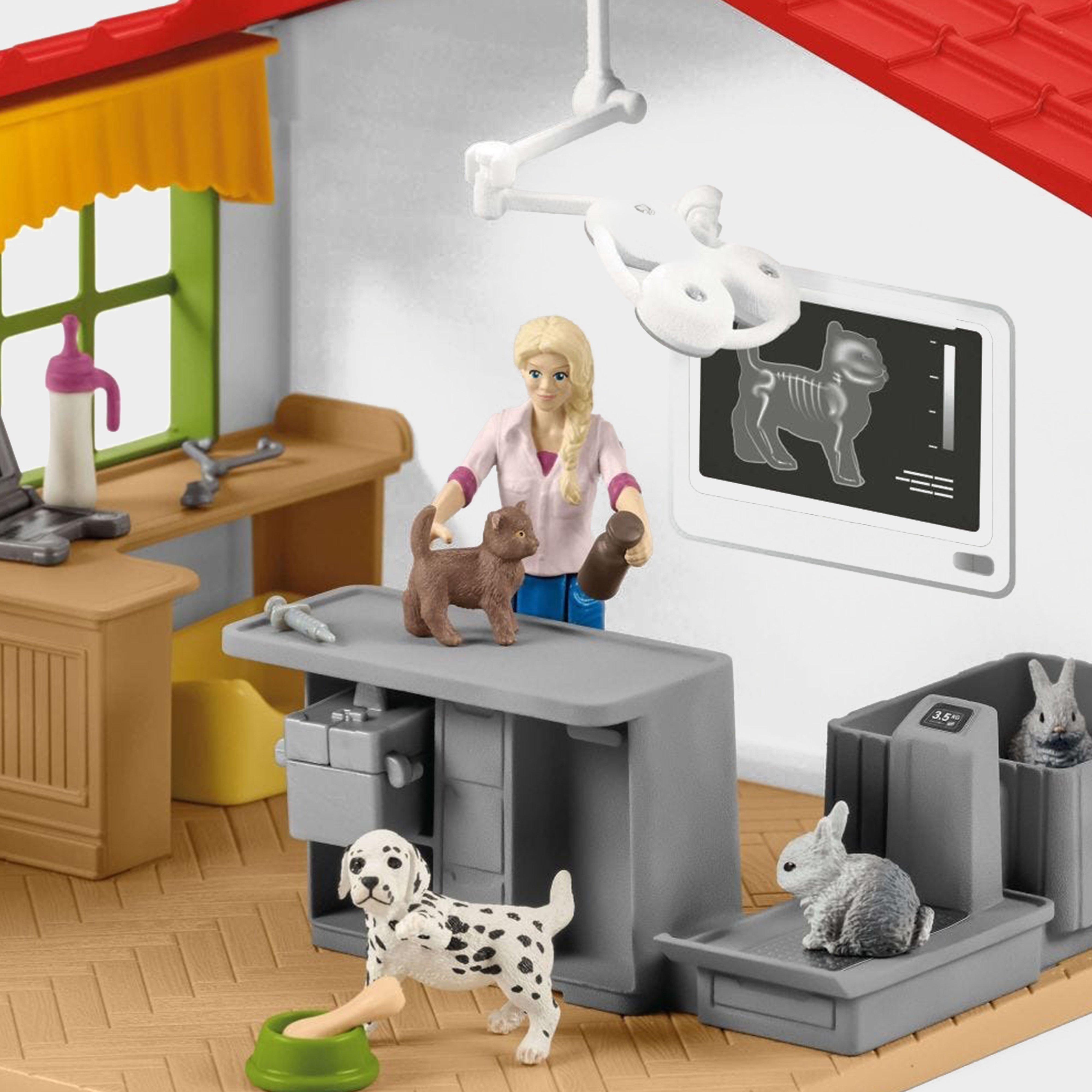 Veterinarian Practice With Pets