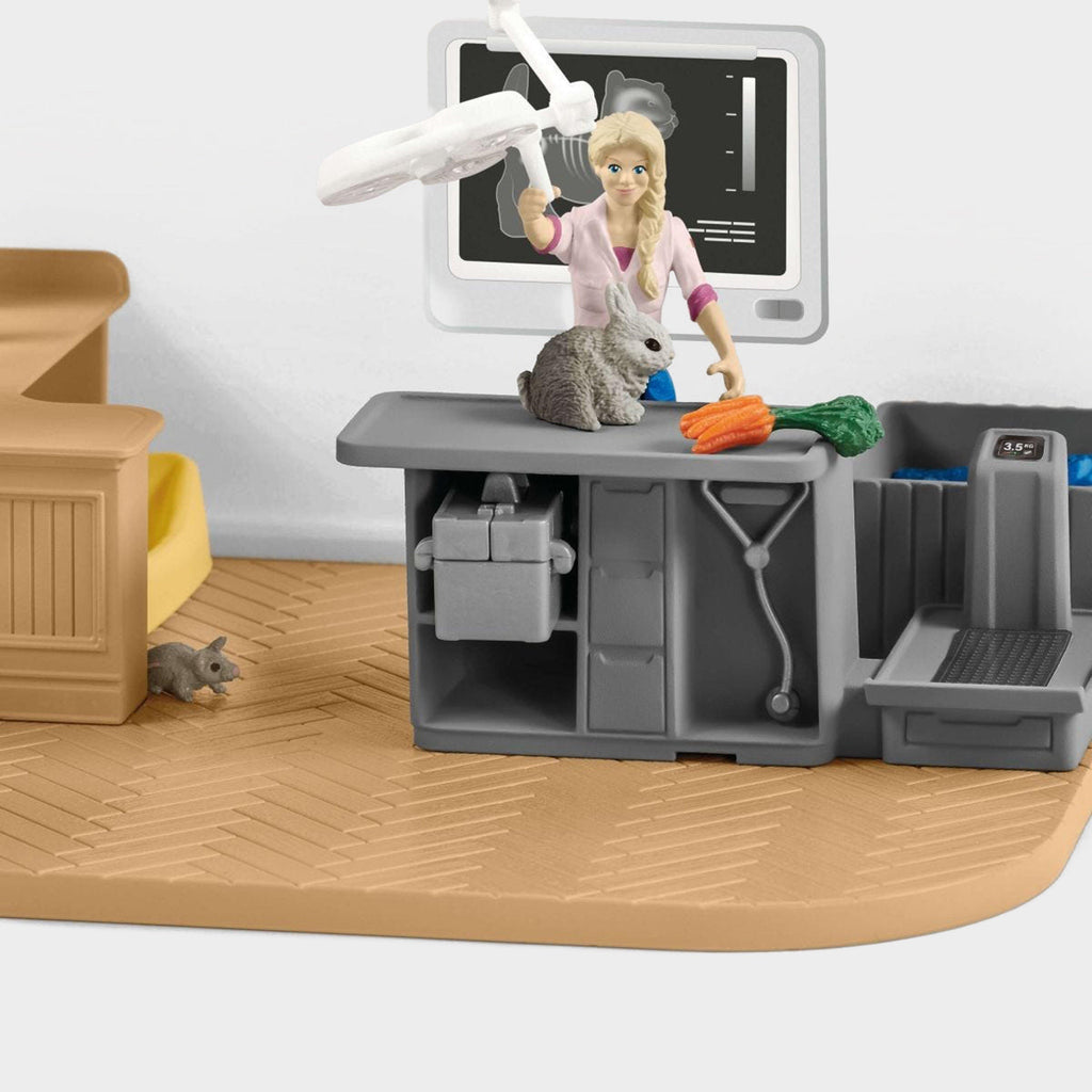 Veterinarian Practice With Pets