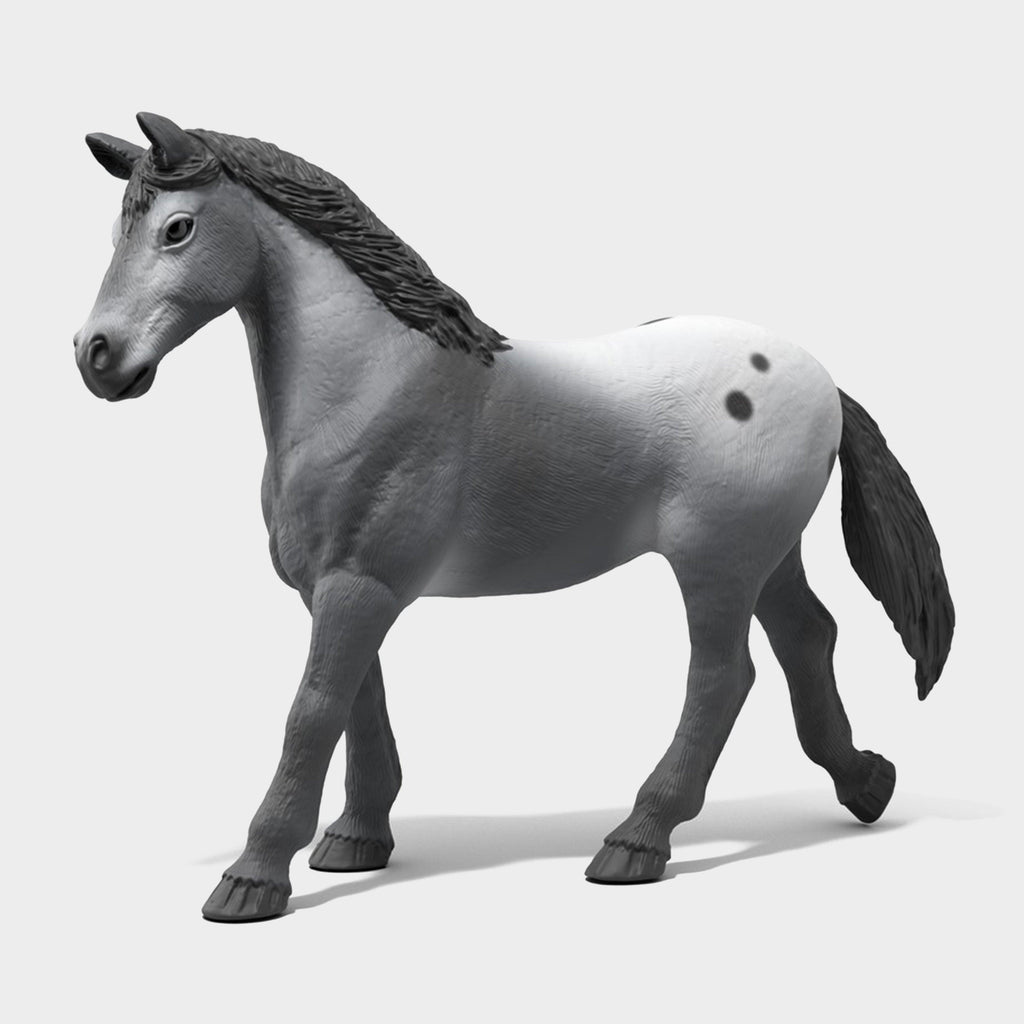 Lisa's Tournament Training Playset