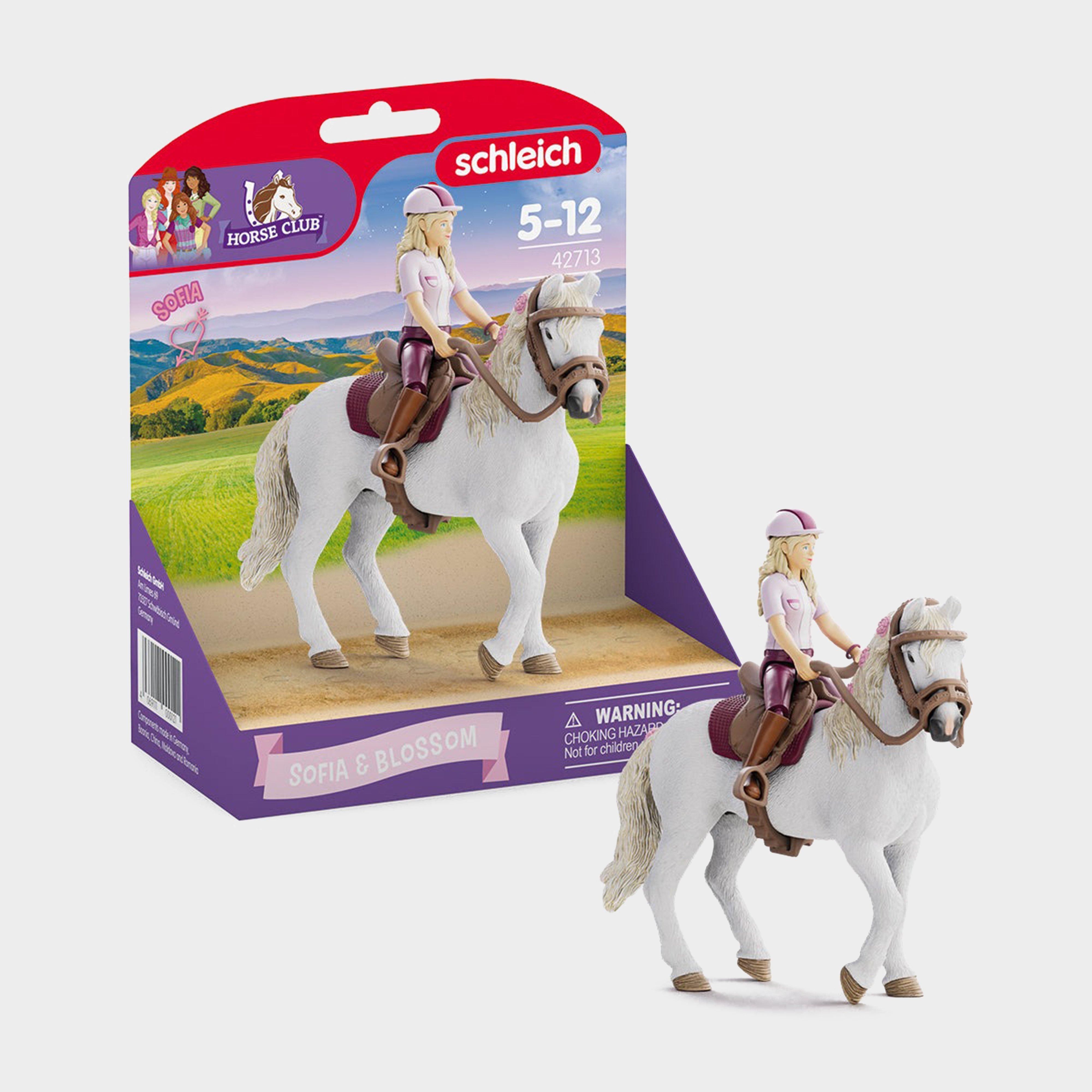 Sofia and Blossom Set