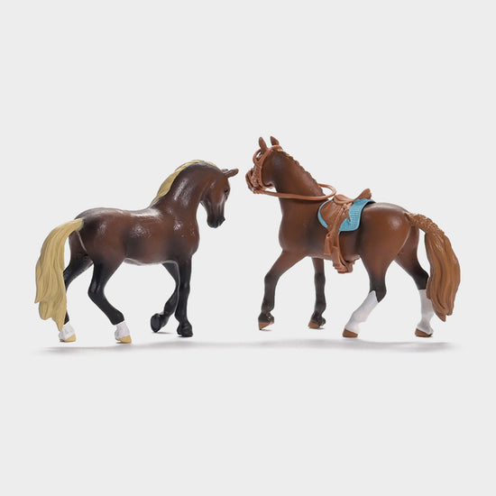 Horse Club Paso Peruano Starter Set