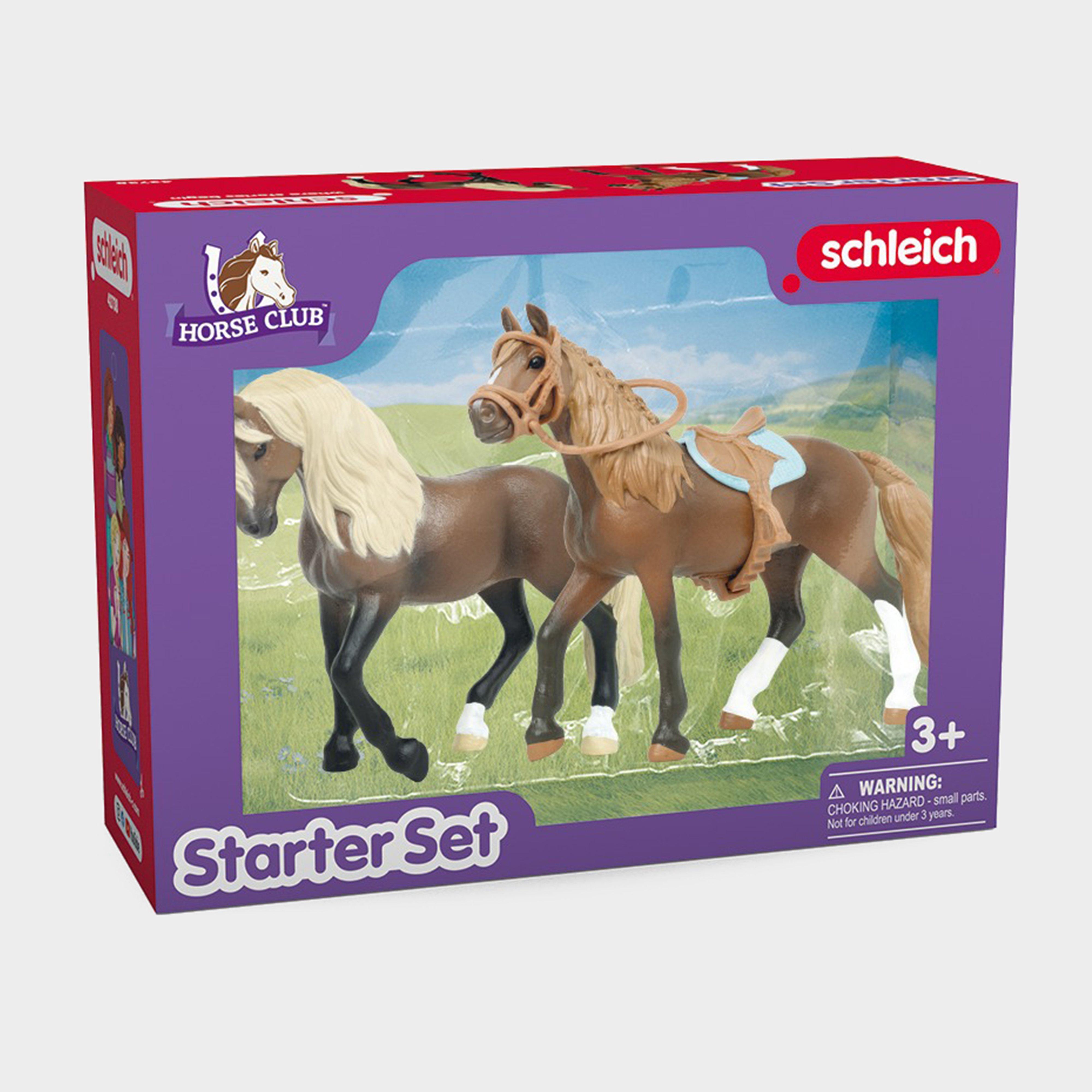 Horse Club Paso Peruano Starter Set